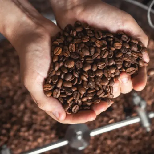 coffee bean